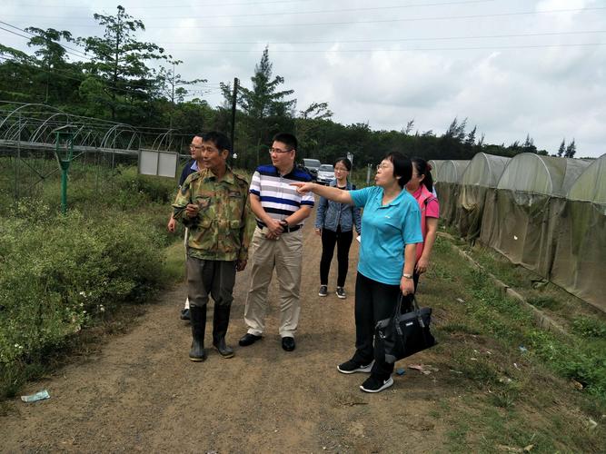 金屬膨脹節優缺點全面解析指南