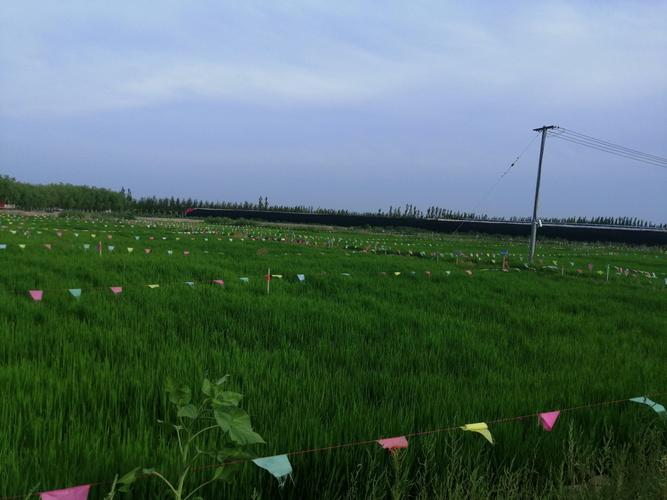 社區(qū)拼團(tuán)