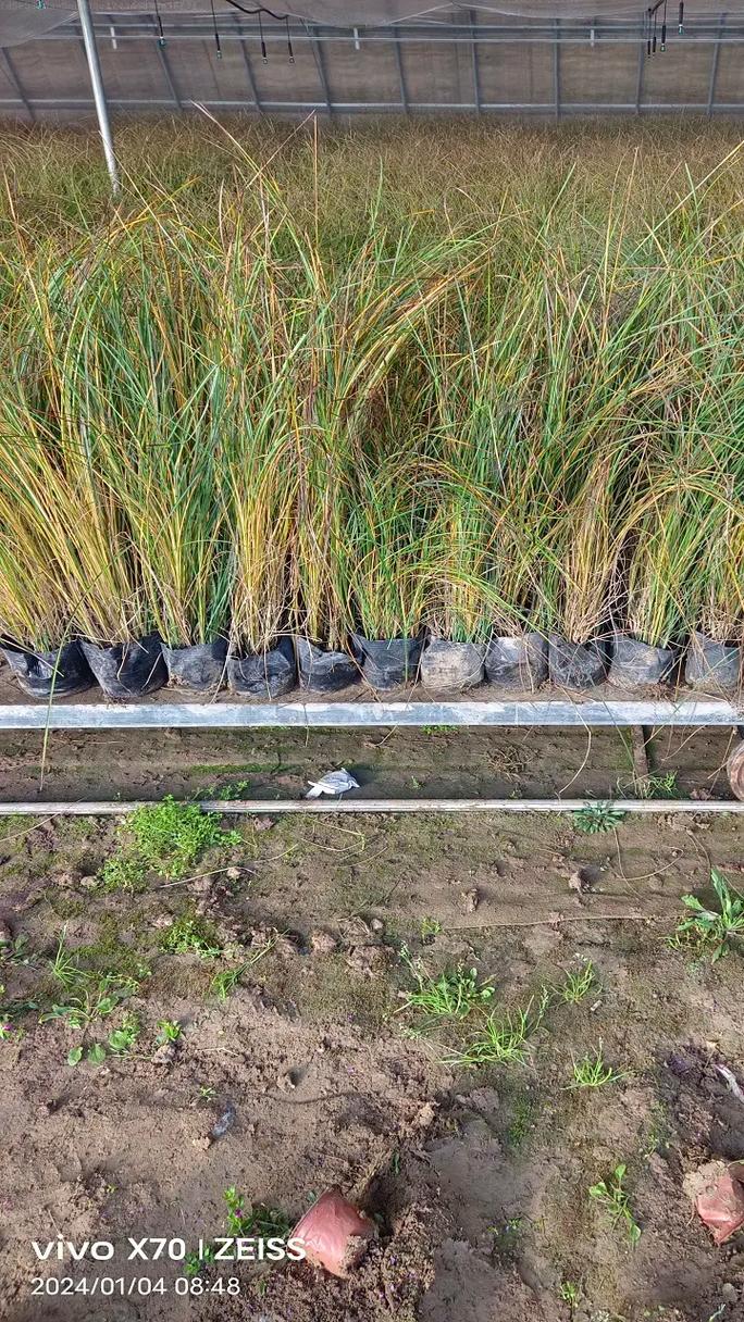 企業(yè)榮譽(yù)