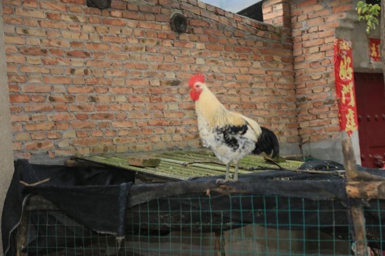 藝術(shù)學(xué)習(xí)