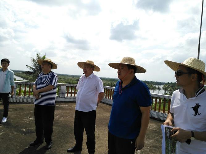 能量運(yùn)動(dòng)