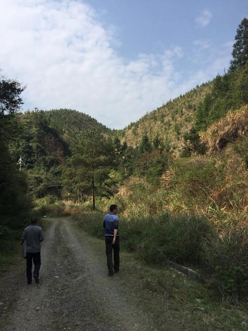 創(chuàng)新案例