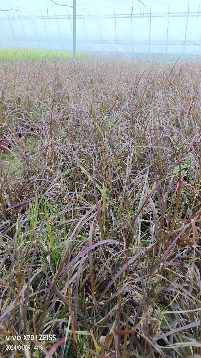 專(zhuān)業(yè)顧問(wèn)