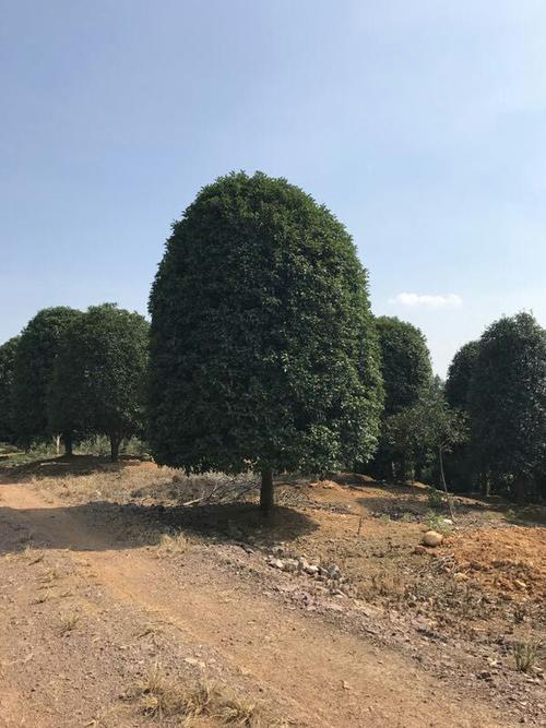 波紋管抗壓性能標準及測試技巧