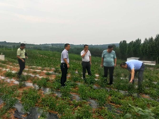 企業(yè)簡(jiǎn)介