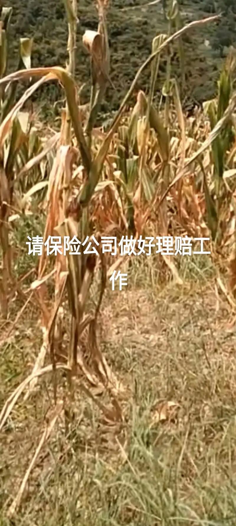 社區(qū)拼團(tuán)