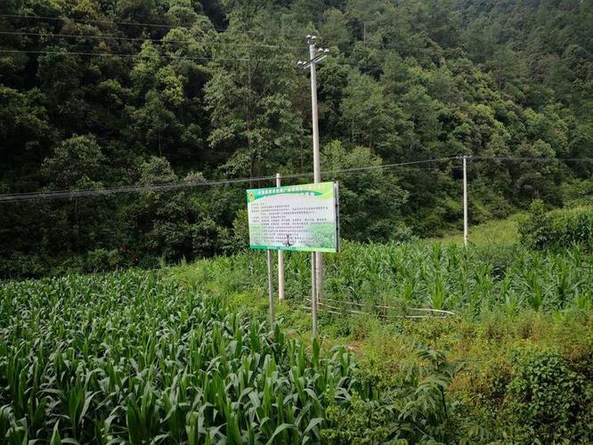 金屬膨脹節(jié)安裝技巧視頻全流程